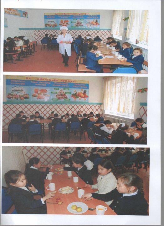 Тамақтандыру